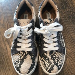 Steve Madden Snakeskin Sneakers